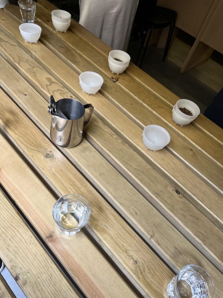 imagen de las tazas llenas de granos de cafe para realizar una cata de cafe de especialidad